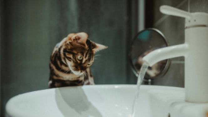 Aprīlī ūdenssaimniecības tarifu izmaiņas sagaidāmas četriem regulējamiem komersantiem