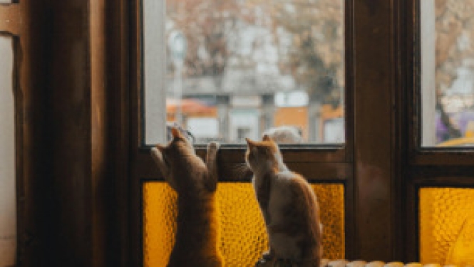 Novembrī siltumenerģijas tarifu izmaiņas apstiprinātas 14 regulējamiem komersantiem