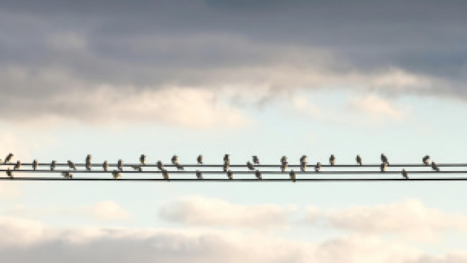 ilustratīvs attēls elektroenerģijas kabeļi